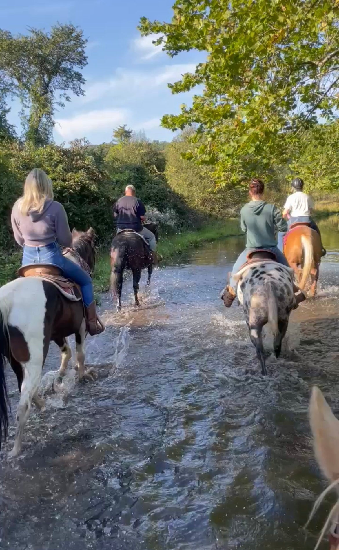 Horseback riding lessons for vacation