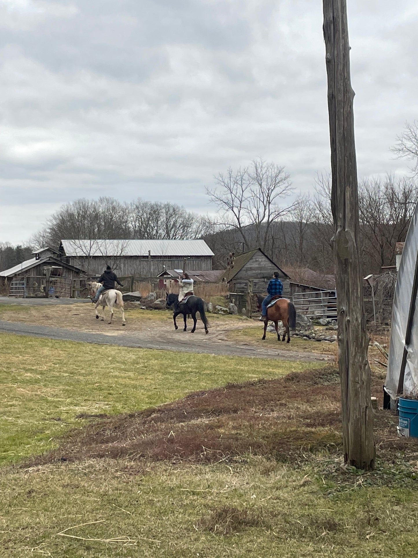 Horseback riding lessons for vacation