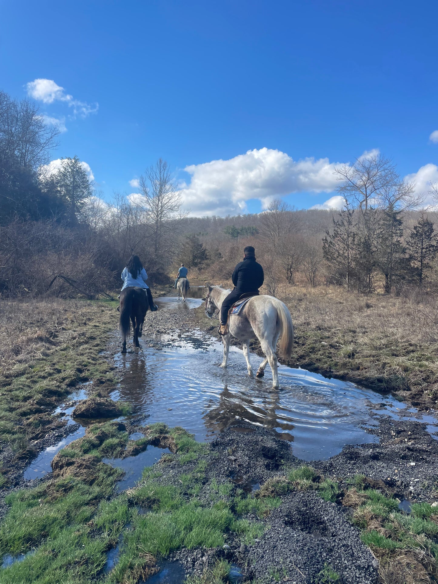 Horseback riding lessons for vacation