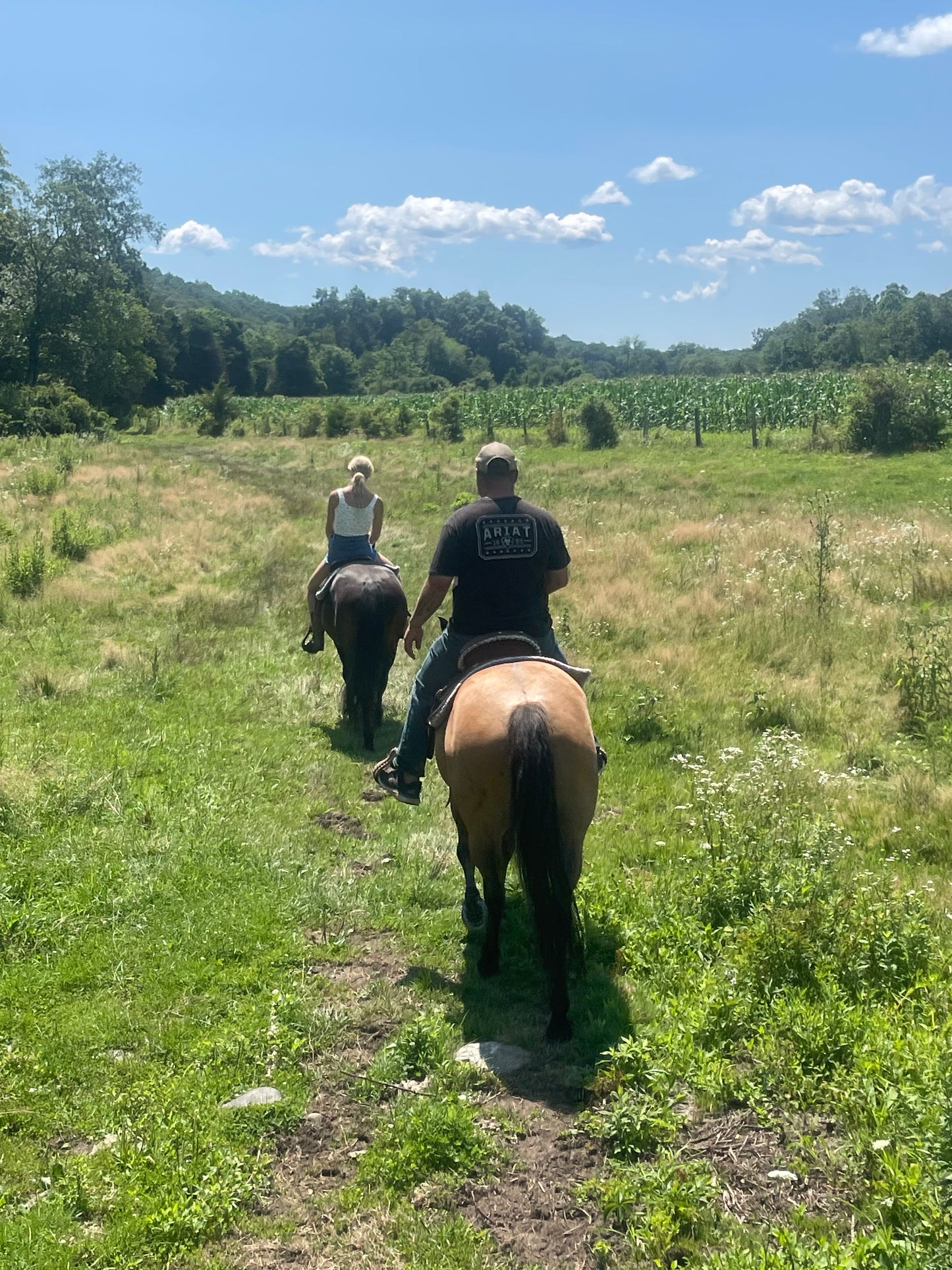 Horseback riding lessons for vacation