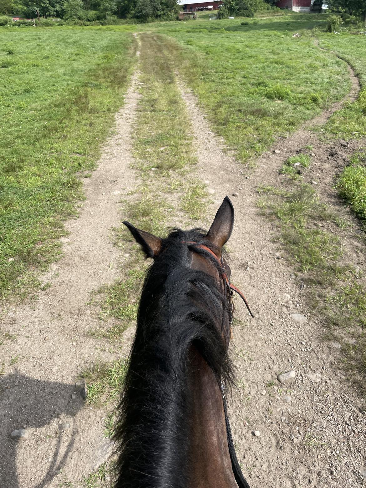 Trail Ride