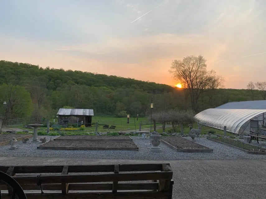 Adult Sunset Hayride