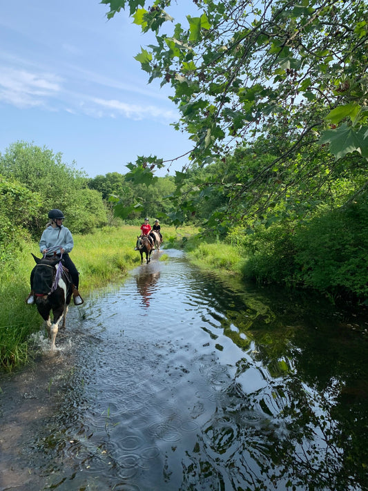 Trail Ride