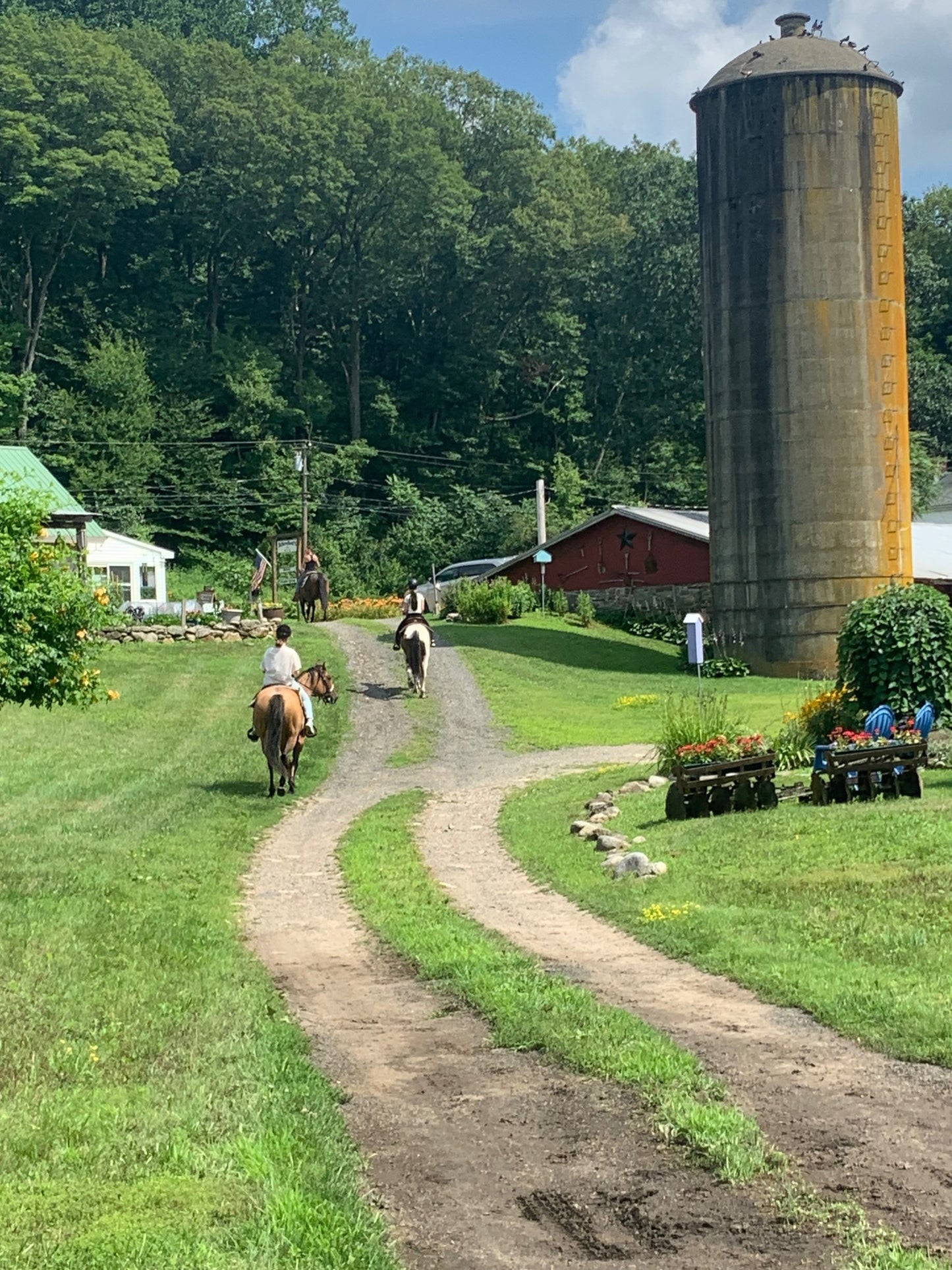 Trail Ride